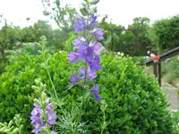 IMG_6206.webp