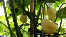 20180601_110559.webp
