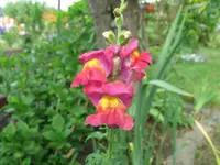IMG_6189.jpg