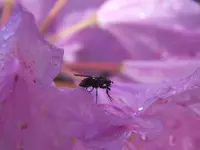 DSCF1177.webp