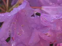 DSCF1175 (2).webp