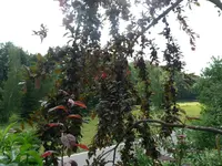 P1130613.webp