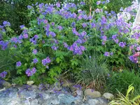 DSCF1187 (2).webp