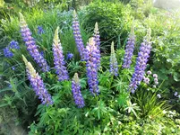 DSCF1122 (2).webp