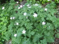 BILD9692.webp