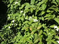 BILD9694.webp