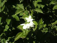 BILD9695.webp