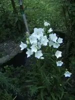BILD9696.webp