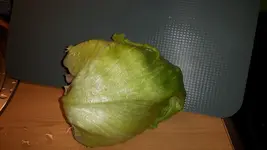 20180602_121254.webp