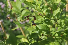 IMG_2432 - Kopie.webp