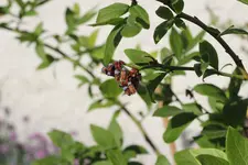 IMG_2434 - Kopie.webp