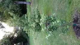 20180602_205346.webp