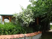 DSC03054.webp
