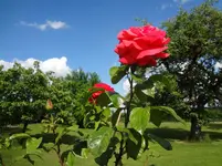 DSC03060.webp