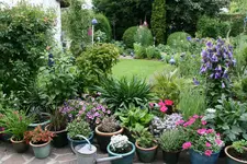 Terasse  0718.webp