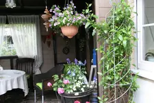 Terasse  0818.webp