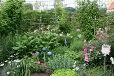 Juni 0618.jpg
