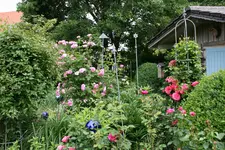 Juni 0718.webp