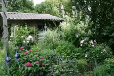Juni 0818.jpg