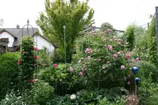 Juni 1018.webp