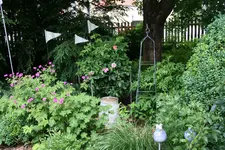 Juni 1118.webp