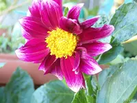 c008.webp