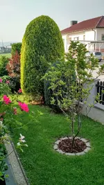 IMG_20180601_073144555_HDR.webp