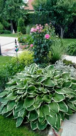 IMG_20180602_173444847.webp