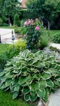 IMG_20180602_173444847.jpg