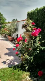 IMG_20180603_102032102_HDR.webp