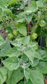 IMG_20180601_135329735.jpg