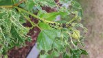 20180603_115042.jpg
