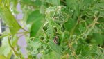 20180603_115642.jpg
