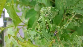 20180603_115639.jpg