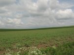 IMG_1506.JPG