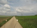 IMG_1516.JPG