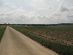 IMG_1517.JPG