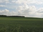 IMG_1529.JPG
