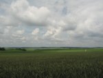 IMG_1537.JPG