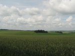 IMG_1538.JPG