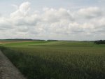 IMG_1539.JPG