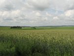 IMG_1543.JPG
