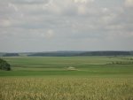 IMG_1544.JPG