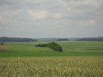 IMG_1545.JPG