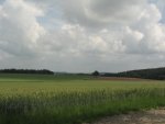 IMG_1546.JPG