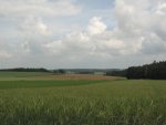 IMG_1551.JPG