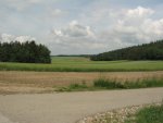 IMG_1563.JPG