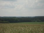 IMG_1568.JPG