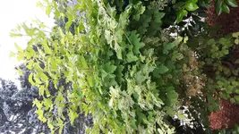 20180603_141232.jpg