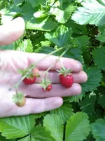 IMG_20180603_162634.webp IMG_20180603_162634.webp